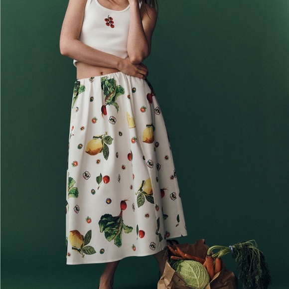 Dresses & Skirts - The Jacie Poplin Printed Midi Skirt by Maeve only wore once